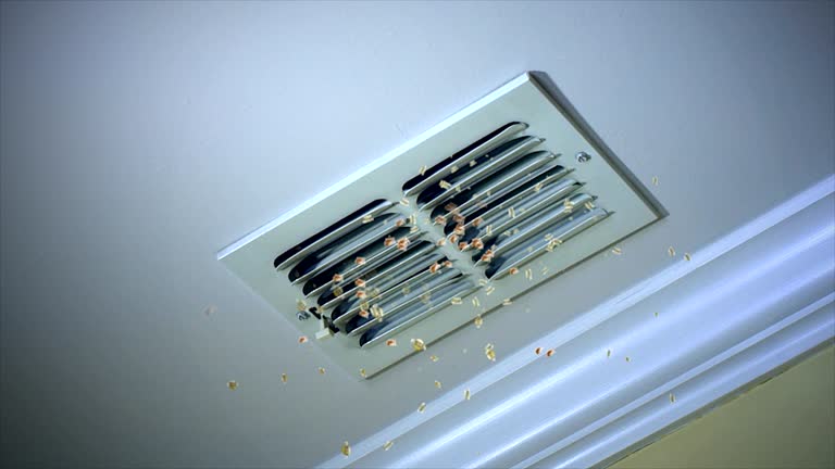 Best Commercial Air Duct Cleaning  in Woodward, IA