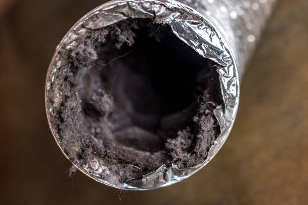 Best Local Air Duct Cleaning Services  in Woodward, IA